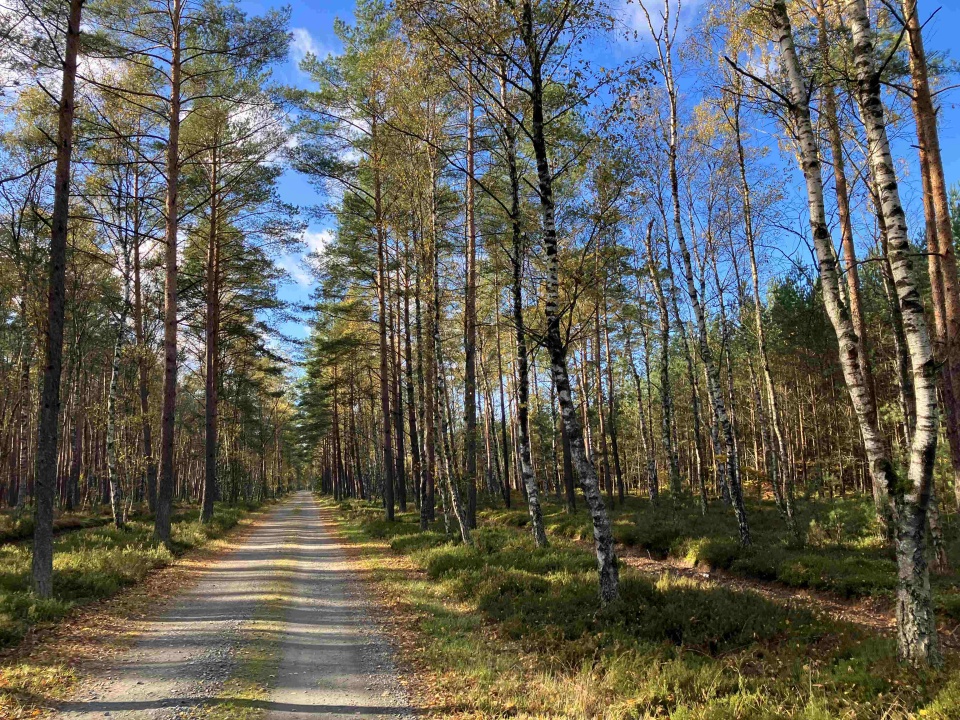 Na Szczecińskiej Ziemi. fot. P. Tolko (Radio Szczecin)