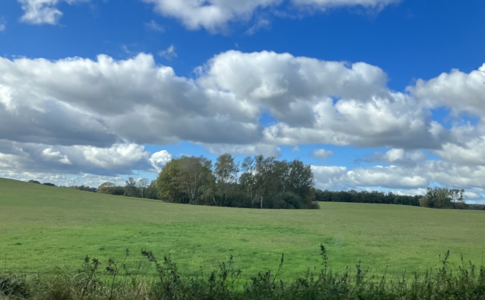 Na Szczecińskiej Ziemi. fot. P. Tolko (Radio Szczecin)