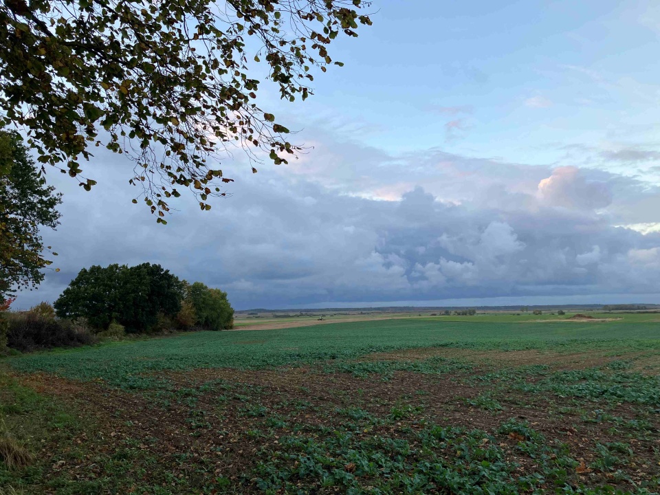Na Szczecińskiej Ziemi. fot. P. Tolko (Radio Szczecin)