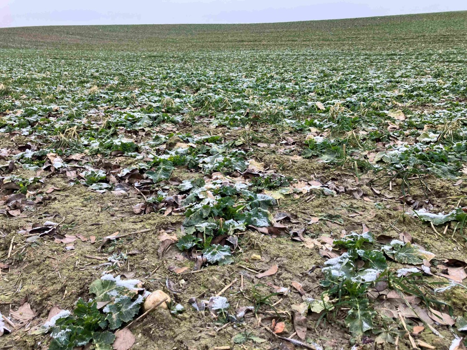 Na Szczecińskiej Ziemi. fot P. Tolko (Radio Szczecin)