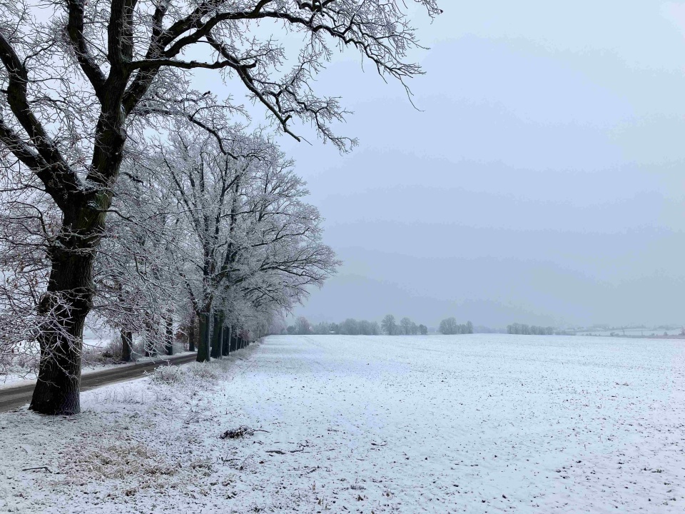 Na Szczecińskiej Ziemi. fot. P. Tolko (Radio Szczecin)