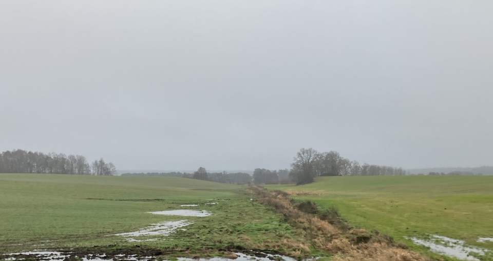 Na Szczecińskiej Ziemi. fot. P. Tolko (Radio Szczecin)