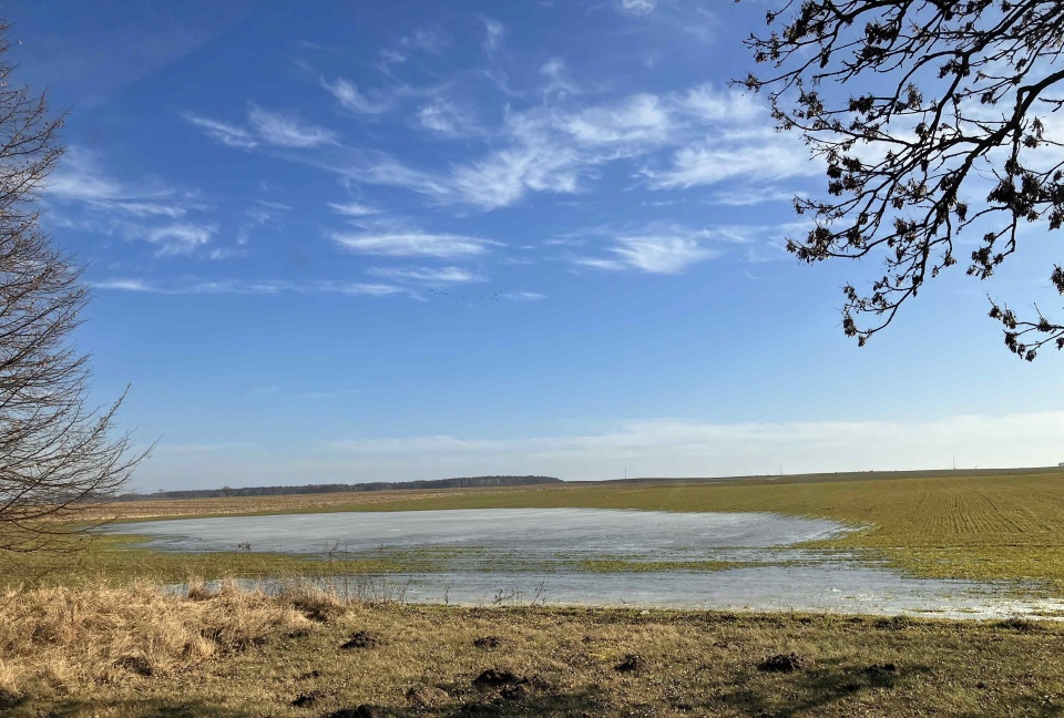 Na Szczecińskiej Ziemi. fot. P. Tolko (Radio Szczecin)