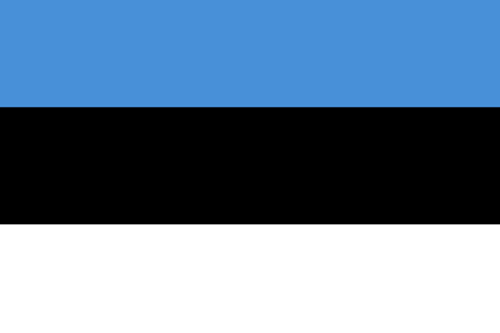 Dziesięcioro dzieci zginęło w pożarze domu opieki w Estonii. Pożar wybuchł dziś po popołudniu, około 14.30. Dwie godziny później ogień udało się opanować.