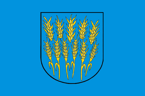 Zablokowane mosty, zalanych kilkanaście posesji i Zespół Szkół w Górkach Wielkich na Śląsku po przejściu burzy. Nawałnica z gradem spowodowała wylanie potoku Wschodnica.
