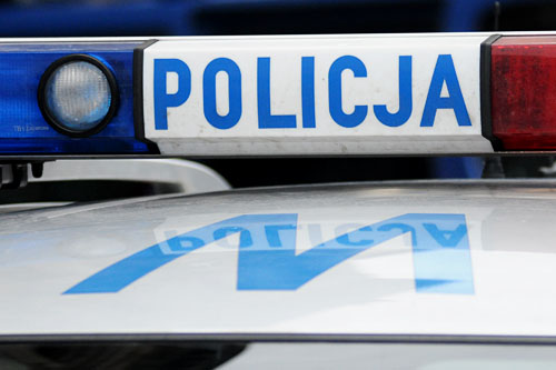 Dwa przypadki pogryzienia przez psy na Warmii i Mazurach. Nie żyje pięcioletni chłopiec, z kolei 80-letnia kobieta trafiła do szpitala.