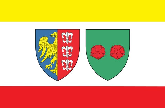 4-letni chłopczyk został pogryziony przez psa. Do zdarzenia doszło w Bielsku-Białej.