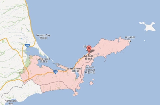 Na razie przyczyny katastrofy nie są znane. F-16 rozbił się w pobliżu miasta portowego Nemuro na północnej wyspie Hokkaido - podała agencja Kyodo.