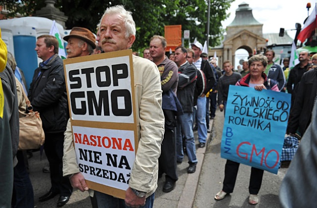 Polska coraz bliżej żywności modyfikowanej genetycznie. Projekt ustawy dopuszczającej uprawę GMO przygotowało już Ministerstwo Środowiska.