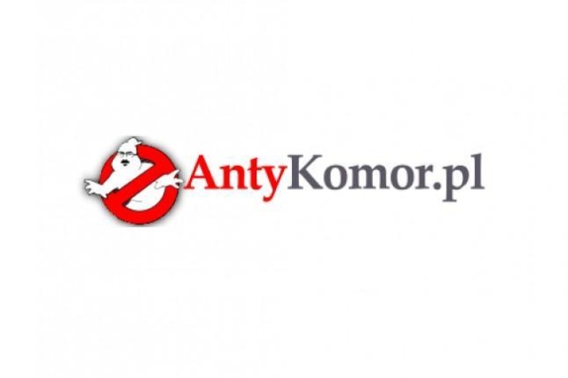 W nowoczesnej demokracji karanie za obrażanie głowy państwa jest nie na miejscu - oświadczyła przedstawicielka Organizacji Bezpieczeństwa i Współpracy w Europie.