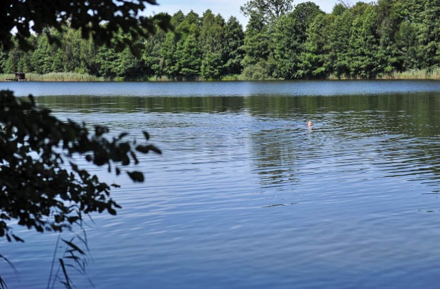 Mieszkańcy Szczecina i okolic często wybierają też plażę nad jeziorem w Blankensee. Fot. Łukasz Szełemej [Radio Szczecin] Ze Szczecina na plażę do Niemiec [ZDJĘCIA]