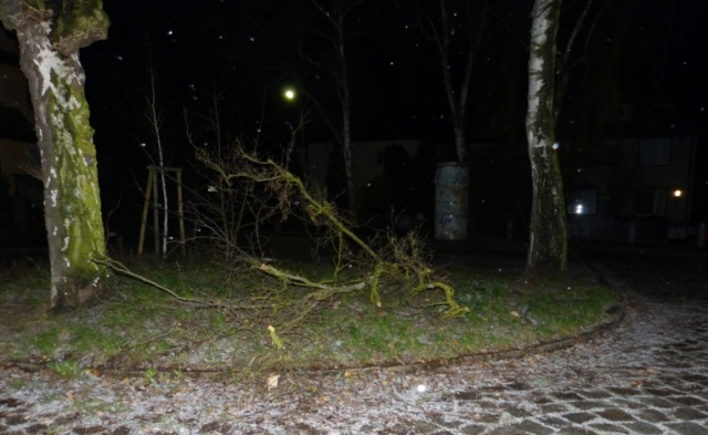 Powalone drzewa, zablokowane drogi, tysiące ludzi bez zasilania i kilka wypadków - to wstępny bilans wichury w Zachodniopomorskiem. Fot. Natalia Skawińska [Radio Szczecin] Wichura szaleje: Zablokowane drogi i gigantyczna awaria zasilania [ZDJĘCIA]