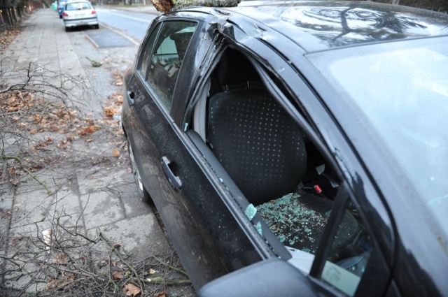 Na Monte Cassino drzewo upadło na samochód. Fot. Łukasz Szełemej [Radio Szczecin] Drzewa łamią się, blokują drogi i miażdżą auta [ZDJĘCIA, WIDEO, NOWE]