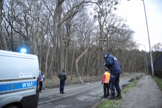Policja zdecydowała się zamknąć przejazd ul. Arkońską ze względu na zagrożenie zawalenia się drzew na drogę. Fot. Łukasz Szełemej [Radio Szczecin] Drzewa łamią się, blokują drogi i miażdżą auta [ZDJĘCIA, WIDEO, NOWE]