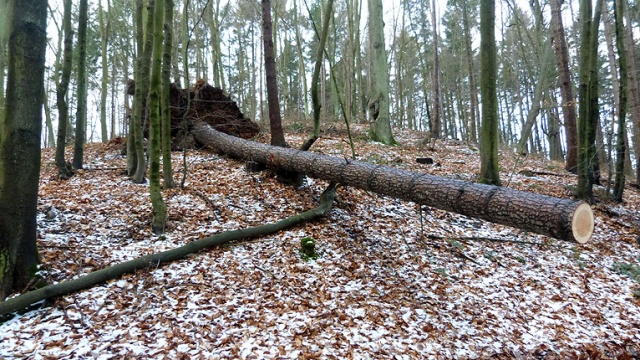 Strażacy nad morzem wciąż mają ręce pełne roboty. Międzyzroje. Fot. Sławomir Orlik [Radio Szczecin] Huragan nie odpuszcza na wybrzeżu [ZDJĘCIA, WIDEO]