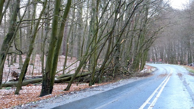 Fot. Sławomir Orlik [Radio Szczecin] Huragan nie odpuszcza na wybrzeżu [ZDJĘCIA, WIDEO]