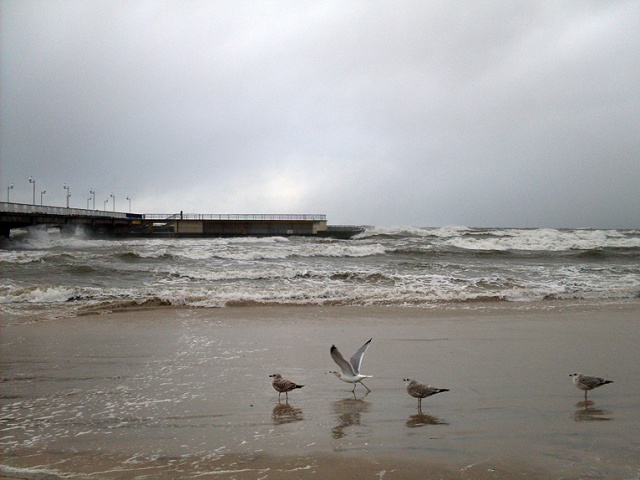 Strażacy nad morzem wciąż mają ręce pełne roboty. Kołobrzeg. Fot. Mariusz Wolański [Radio Szczecin] Huragan nie odpuszcza na wybrzeżu [ZDJĘCIA, WIDEO]