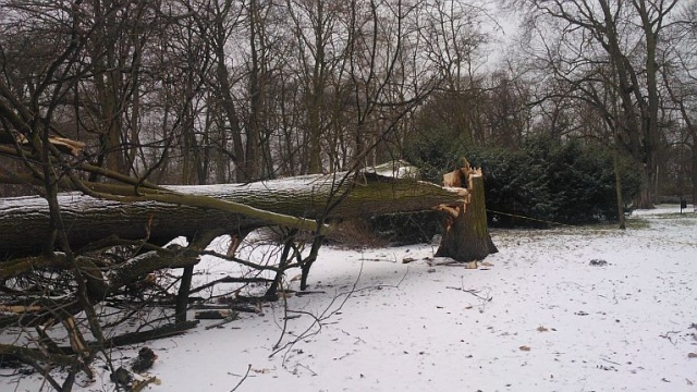 Gwałtowna burza śnieżna przed godziną 15 przeszła także nad Stargardem. Fot. Marek Synowiecki [Radio Szczecin] Burza śnieżna nad Szczecinem i Stargardem [ZDJĘCIA, NOWE]