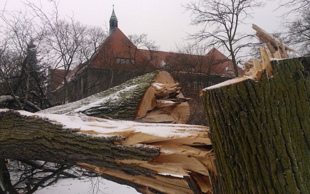 Gwałtowna burza śnieżna przed godziną 15 przeszła także nad Stargardem. Fot. Marek Synowiecki [Radio Szczecin] Burza śnieżna nad Szczecinem i Stargardem [ZDJĘCIA, NOWE]