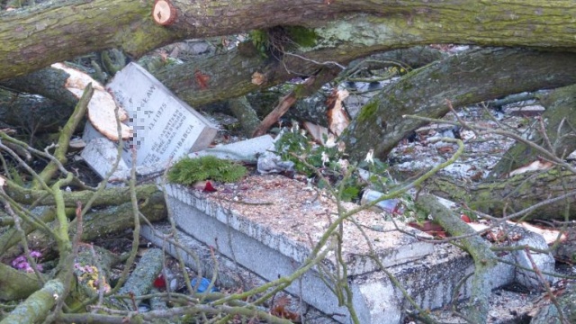 Po godzinie 13, wiatr powalił ponad 20-metrowe drzewo na cmentarzu w Świnoujściu-Przytorze. Fot. Sławomir Orlik [Radio Szczecin] Złamane drzewo zniszczyło nagrobki w Świnoujściu [ZDJĘCIA]