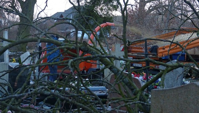 Po godzinie 13, wiatr powalił ponad 20-metrowe drzewo na cmentarzu w Świnoujściu-Przytorze. Fot. Sławomir Orlik [Radio Szczecin] Złamane drzewo zniszczyło nagrobki w Świnoujściu [ZDJĘCIA]