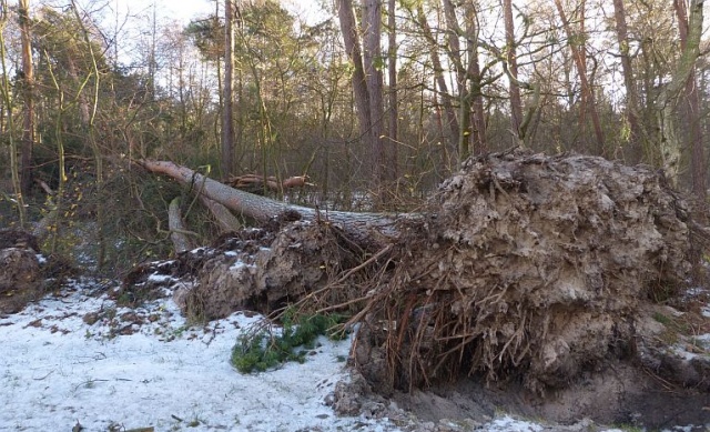 Gmina Dziwnów. Fot. Sławomir Orlik [Radio Szczecin] Wiatr słabnie, przyszła cofka. Nie ma zagrożenia powodzią [ZDJĘCIA, WIDEO, NOWE]