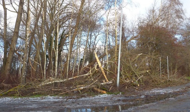 Gmina Dziwnów. Fot. Sławomir Orlik [Radio Szczecin] Wiatr słabnie, przyszła cofka. Nie ma zagrożenia powodzią [ZDJĘCIA, WIDEO, NOWE]