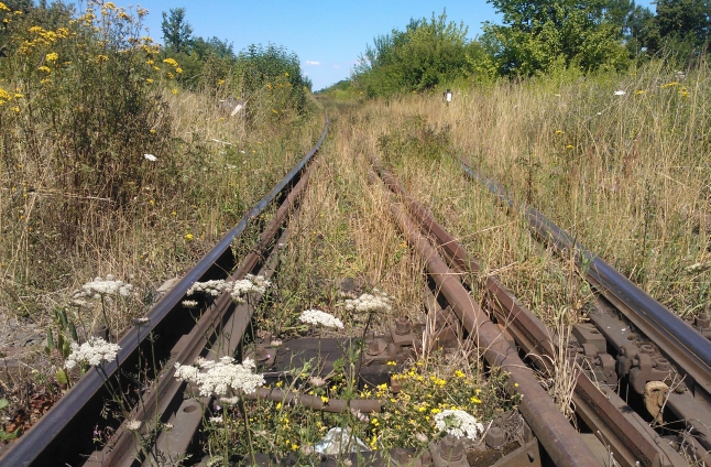 Złomiarze demontują linię kolejową ze Stargardu Szczecińskiego do Pyrzyc. Fot. Marek Synowiecki.
