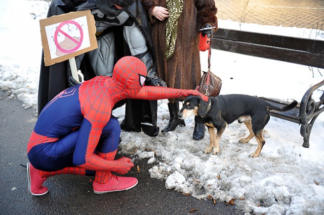 Superbohaterzy na tropie... Fot. Łukasz Szełemej [Radio Szczecin] Batman zaprowadza porządki w Szczecinie. Po psie trzeba sprzątać [ZDJĘCIA]