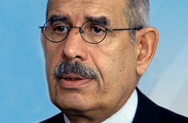 Przywódca liberalnej opozycji w Egipcie Mohammed ElBaradei został mianowany przez szefa państwa tymczasowym premierem rządu - podał rzecznik opozycji.