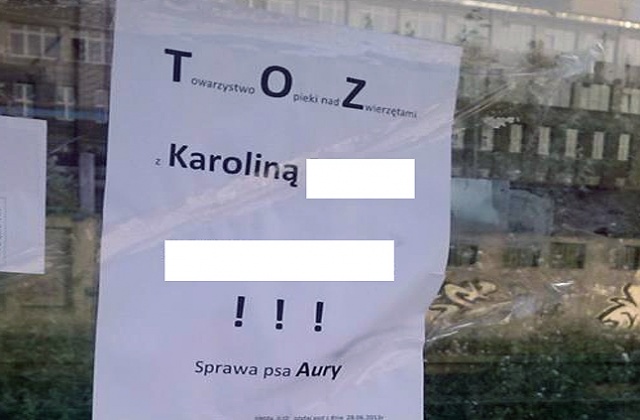 Ktoś wywiesza plakaty obwiniające szczeciński TOZ