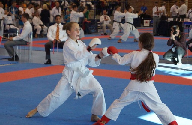 11 medali, w tym 5 złotych, 5 srebrnych i jeden brązowy zdobyli zachodniopomorscy karatecy w mistrzostwach świata w karate shotokan zakończonych w Żukowie koło Gdańska.