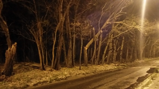 Wichura szaleje: Zablokowane drogi i gigantyczna awaria zasilania [ZDJĘCIA]