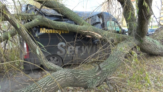 Drzewa łamią się, blokują drogi i miażdżą auta [ZDJĘCIA, WIDEO, NOWE]