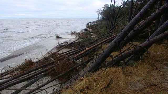 Zniszczone nagrobki, setki drzew powalonych na wydmach [WIDEO]