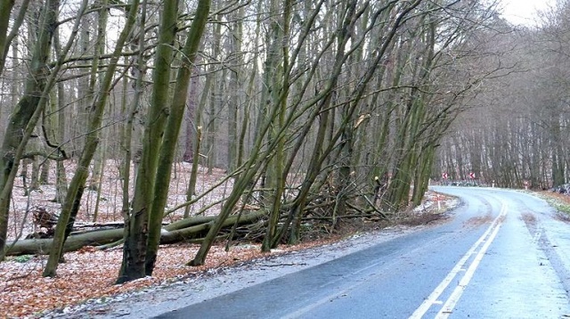 Energetycy wciąż łatają linie po Ksawerym
