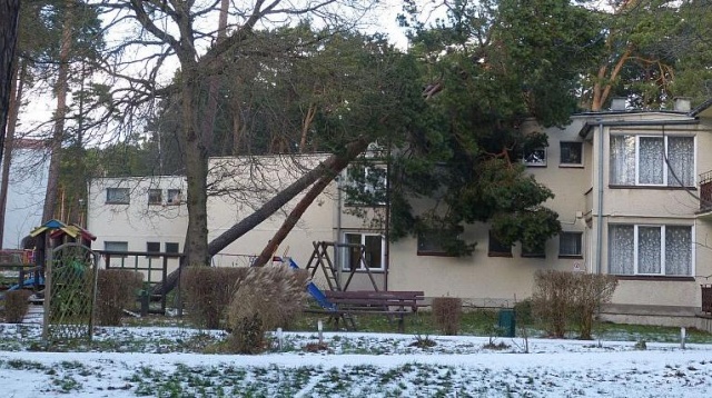 Pomoc dla poszkodowanych przez Ksawerego