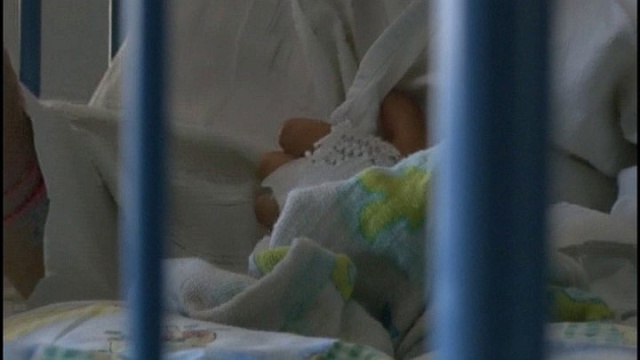 Pies pogryzł dwuletnią dziewczynkę bawiącą się na podwórku. Do zdarzenia doszło na jednej z posesji w gminie Susz, niedaleko Olsztyna.