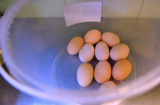 Zima była łagodna, a więc święta nie powinny być droższe niż w ubiegłym roku - informuje portal Newseria.