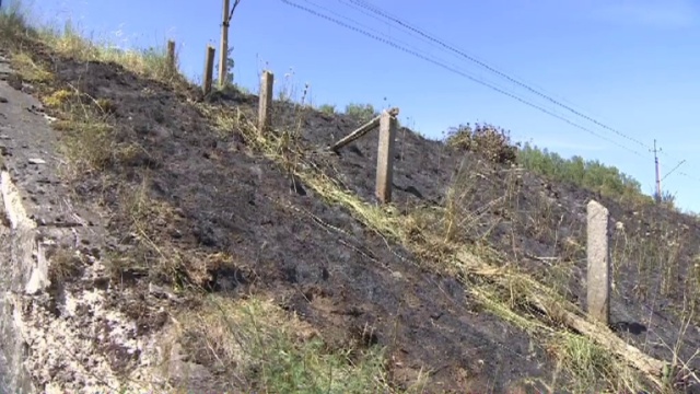 Ogień wzniecił przejeżdżający pociąg. Jeden z wagonów miał uszkodzony układ hamulcowy.