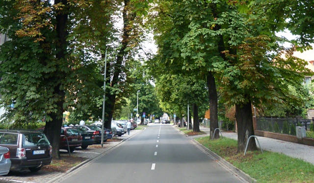 Stare, rosnące przy drogach drzewa to zagrożenie dla kierowców - tak mówią eksperci ruchu drogowego. Po niedzielnej nawałnicy, która przeszła przez Zachodniopomorskie, strażacy usunęli z ulic setki wiatrołomów.