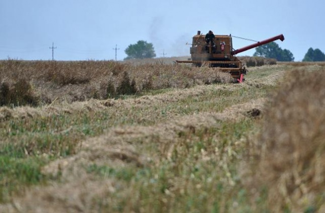 Rolnicy: Grunty drożeją, a ANR nic z tym nie robi