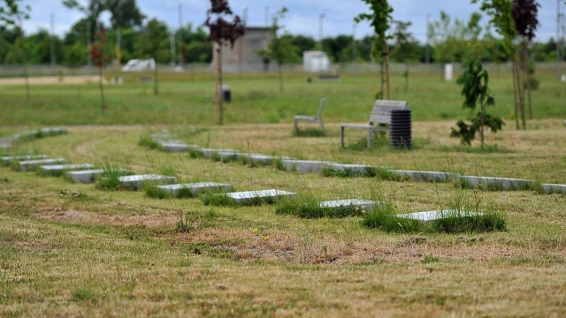 Cmentarz przy ulicy Bronowickiej w Szczecinie. Fot. Łukasz Szełemej [Radio Szczecin] Wielkie sprzątanie na zaniedbanym cmentarzu [ZDJĘCIA]
