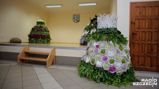 Stroje powstały na Festiwal Róż, który w miniony weekend odbył się w Skarbimierzycach. Fot. Konrad Nowak [Radio Szczecin] Można przymierzyć suknie dopóki... nie zwiędną [ZDJĘCIA]