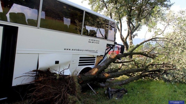 Autobus którym jechały dzieci zderzył się czołowo z autem osobowym. Fot. Policja Zakopane Wypadek autokaru z dziećmi z zachodniopomorskiego [WIDEO, ZDJĘCIA]