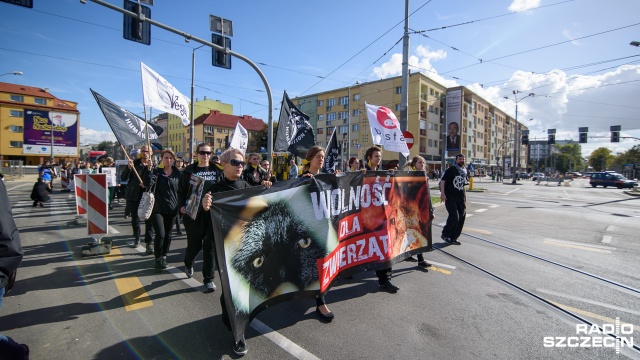 Kilkudziesięciu szczecinian protestowało przeciwko złemu traktowaniu zwierząt. Fot. Konrad Nowak [Radio Szczecin] Marsz w obronie zwierząt przeszedł ulicami Szczecina [WIDEO, ZDJĘCIA]