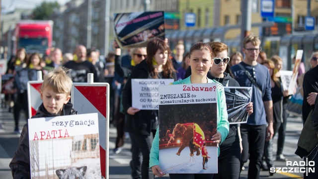 Kilkudziesięciu szczecinian protestowało przeciwko złemu traktowaniu zwierząt. Fot. Konrad Nowak [Radio Szczecin] Marsz w obronie zwierząt przeszedł ulicami Szczecina [WIDEO, ZDJĘCIA]