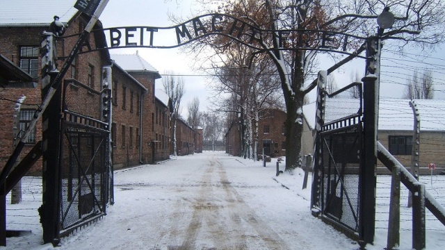 Gdy 60. Armia Frontu Ukraińskiego Armii Czerwonej wyzwalała obóz Auschwitz-Birkenau, na jego terenie przebywało jeszcze wciąż kilka tysięcy więźniów.