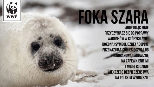 Podaruj wirtualnego zwierzaka i chroń te, które żyją w naturze - do wręczenia takiego nietypowego prezentu na walentynki namawia ekologiczna organizacja WWF Polska.
