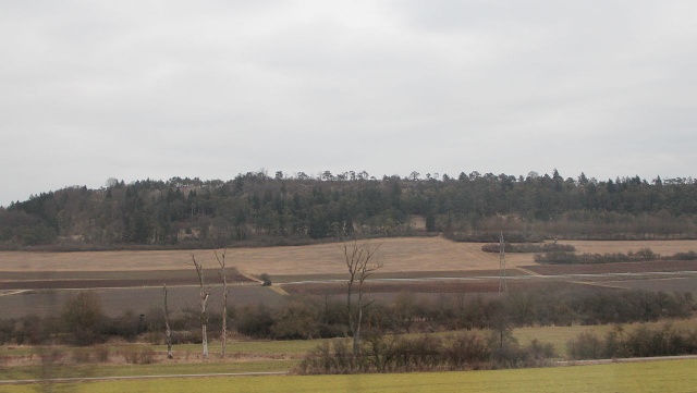 Jak wylicza Główny Urząd Statystyczny, wartość hektara w ciągu ostatniej dekady wzrosła od 300 do 600 procent.